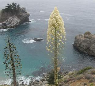 Район Биг-Сур. Парк Джулия Пфайфер Бернс