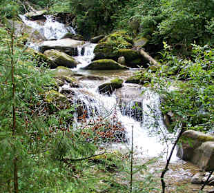 In der Stillupklamm 