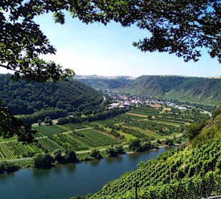 Moseltalbrücke Koblenz