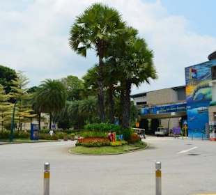 Sentosa Island