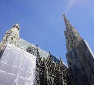 Katedra św. Szczepana