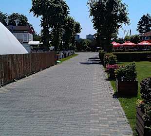 Complexul De Agrement Şi Sport Mureşul 