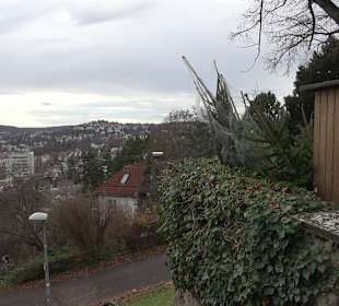 Park Wiederholdstaffel