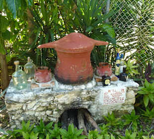 So wird Agavenshnaps gemacht