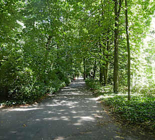 Lazienki Park