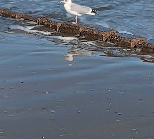 Nordstrand Norderney
