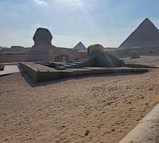 Sphinx von Gizeh