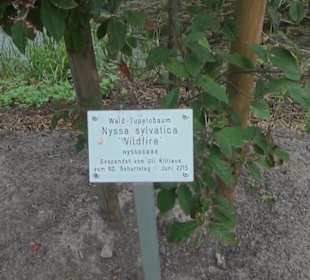 Rosengarten