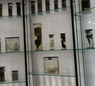 Deutsches Technikmuseum