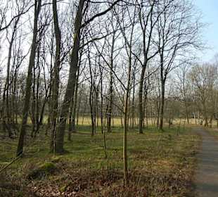 Wunderschöne Boberger Niederung