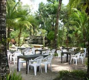 Tropischer Biergarten im "neuen" Bavaria House
