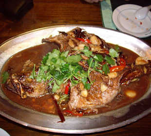 Restaurant Purple Vine