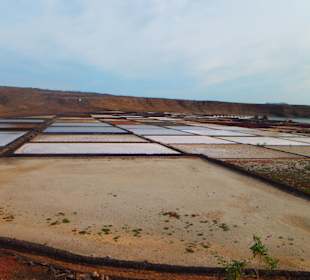 Salinas de Janubio