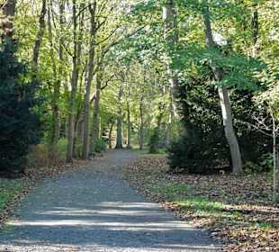 Spaziergang durch den Kurpark Wilhelmshaven