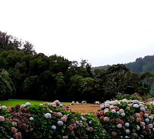 Ausblick Kirche Igreja Sao Nicolau