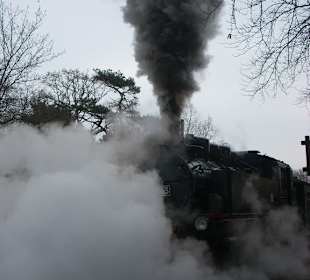 Der dampfende Roland