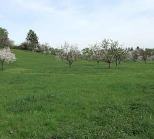 Walderlebnisweg Rottenburg