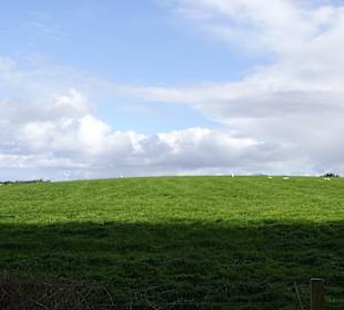 Landschaft bei "The Dark Hedges"