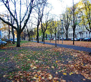 Die Allee entlang
