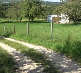 Hochgehnießen - Premiumspazierwanderweg