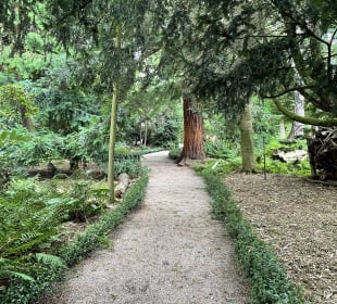 Botanischer Garten Amsterdam