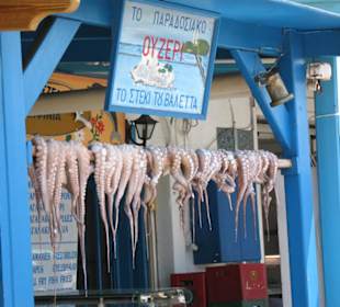 Oktopus vor Taverne Oyzeri