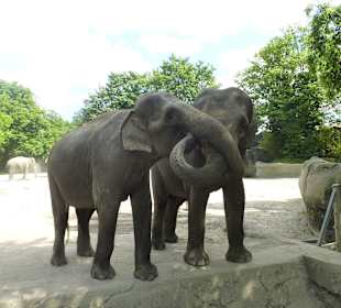 Wir haben uns ganz doll lieb.