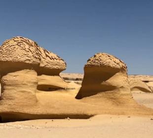 Wadi Hitan-Fayoum mit Morgenland Reisen