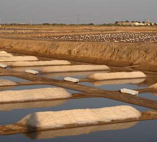 Wandern Cabanas de Tavira