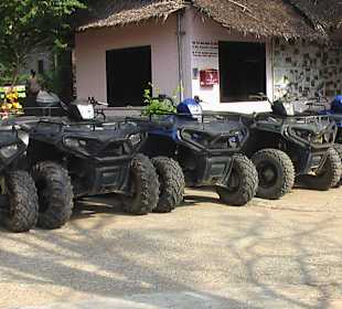 Ziemlich viel Auswahl an Quads