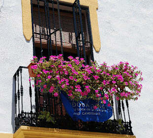 Paseo por la judería y patios de Córdoba