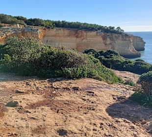 Seven Hanging Valleys Trail