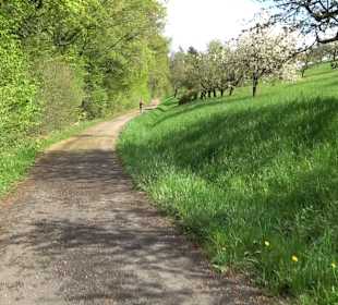 Naturerlebnisweg des NABU-Metzingen
