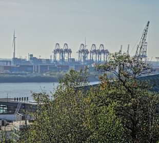 Blick vom Altonaer Balkon auf den Hafen