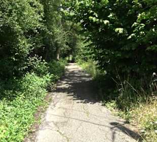 HAP Grieshaber Rundweg