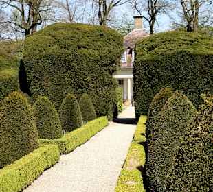 Klostergarten mit 200-jähriger Taxushecke