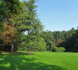 Rundgang durch den Harburger Stadtpark
