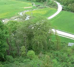 Ruine Burg Kaltenburg