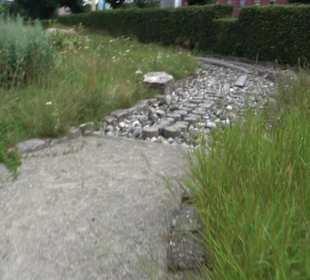 ALB-GOLD Naturgarten