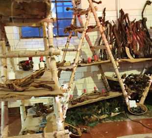 Verschiedene Holzarten