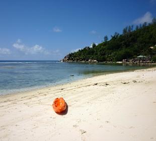 Am Strand von Anse Soleil
