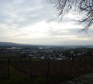 Die Aussicht von Schloss Johannisberg