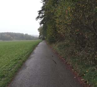 Naturschutzgebiet Listhof