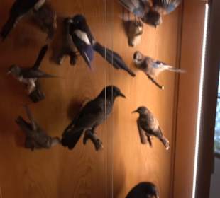 Heimatmuseum Oberstdorf