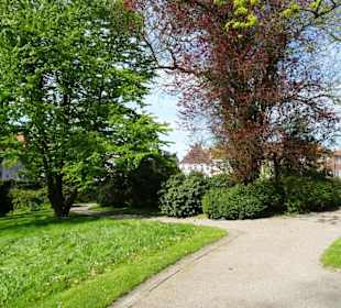 Frühlingsspaziergang durch den Park des Schlosses