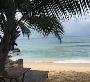 Strand Grenada Aquarium Beach
