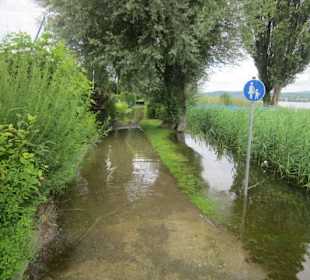 Insel Reichenau Hochwasser