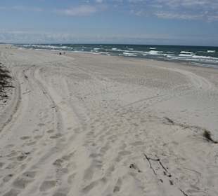 Ostseestrand bei Nida