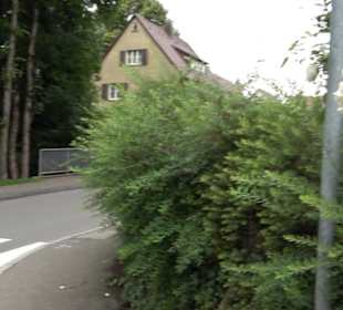 Krügerpark