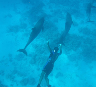 Mo in seinem Element 